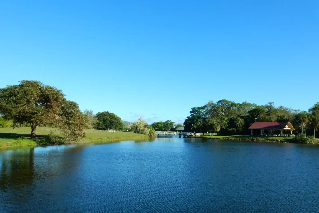 Lago rodeado de árboles bajo un cielo azul, imagen ilustrativa